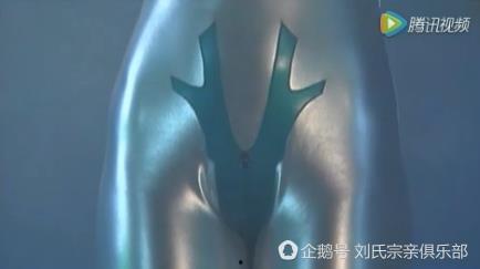女的奥特曼的视频,守护和平的美丽力量
