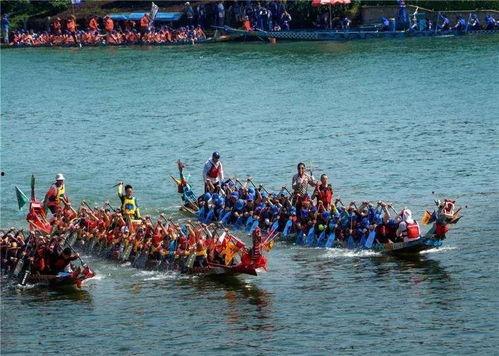 2016阳东龙舟视频,激荡水域，传承民俗