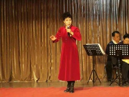 评剧板胡教学视频,入门与进阶技巧解析