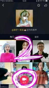 抖音视频原声,揭秘网红爆款背后的秘密