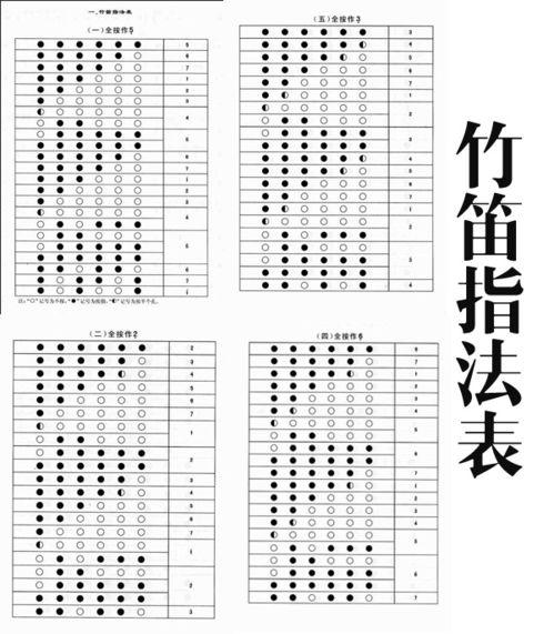 基本乐理视频教程