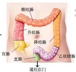小孩中药直肠灌注视频,儿童用药新方法，视频揭秘操作细节