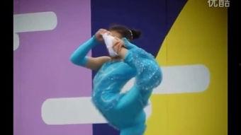 透视柔术视频播放,揭秘动作要领与实战技巧