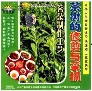 茶树种植技术视频