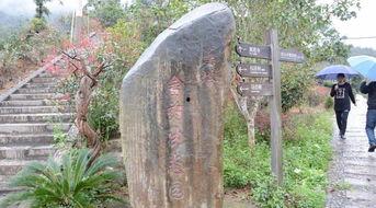 葡萄沟的视频,探寻新疆美酒之源的甜蜜之旅